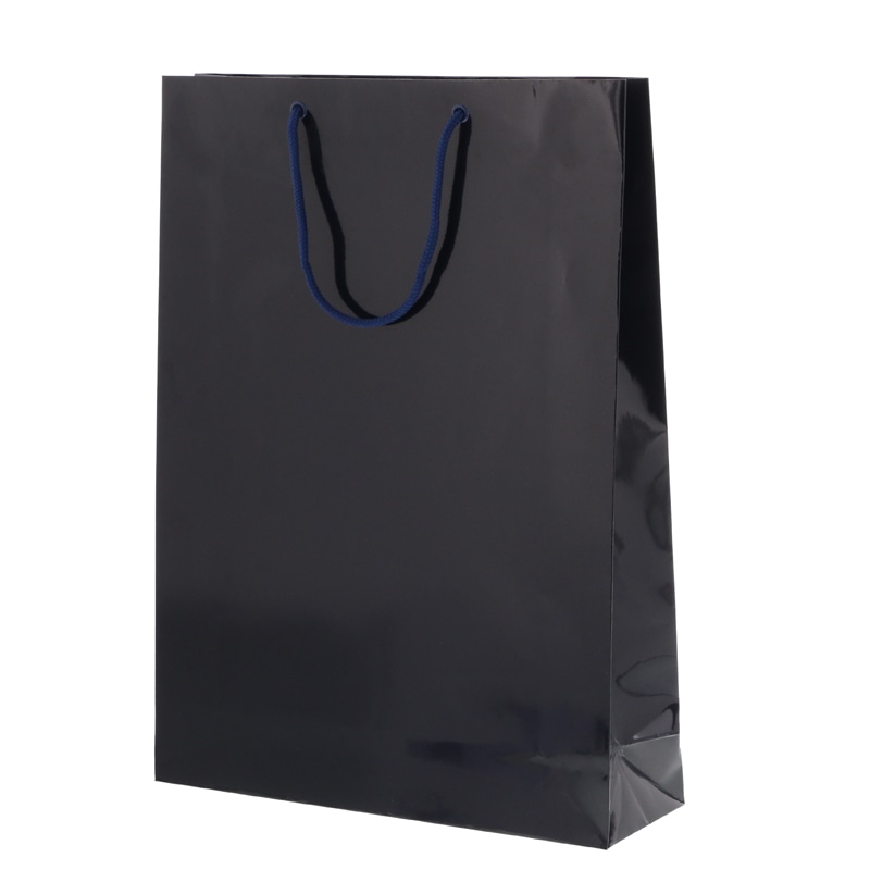 HEIKO 紙袋 ブライトバッグ G2 シコン 10枚/袋