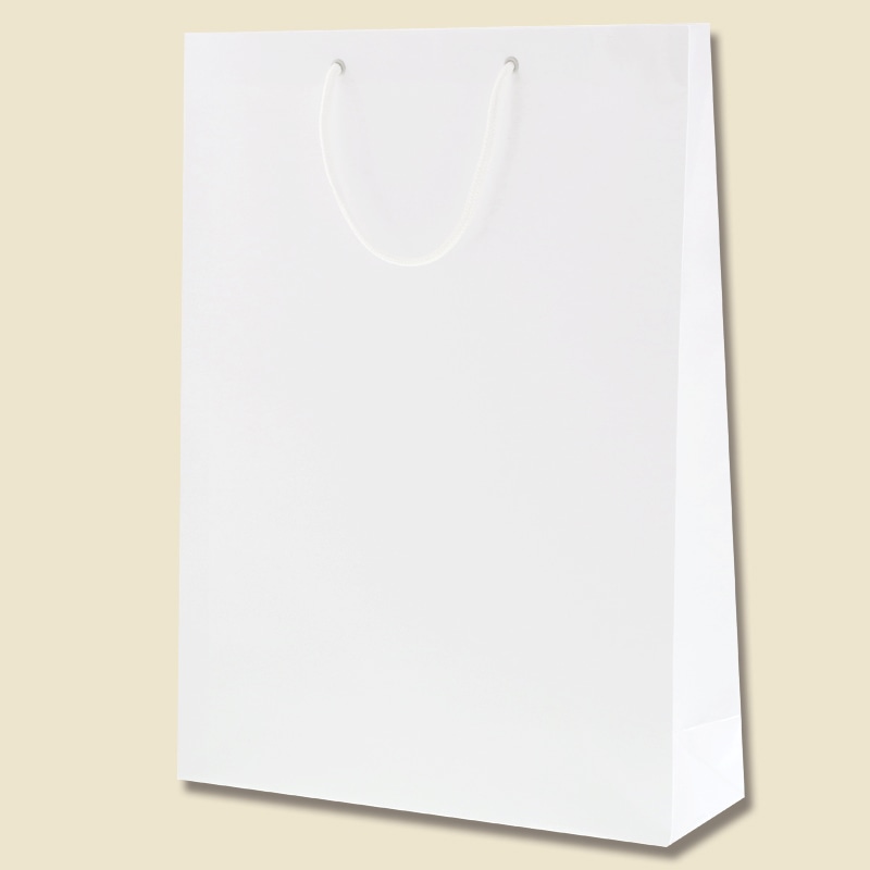 HEIKO 紙袋 ブライトバッグ KA 白 10枚/袋