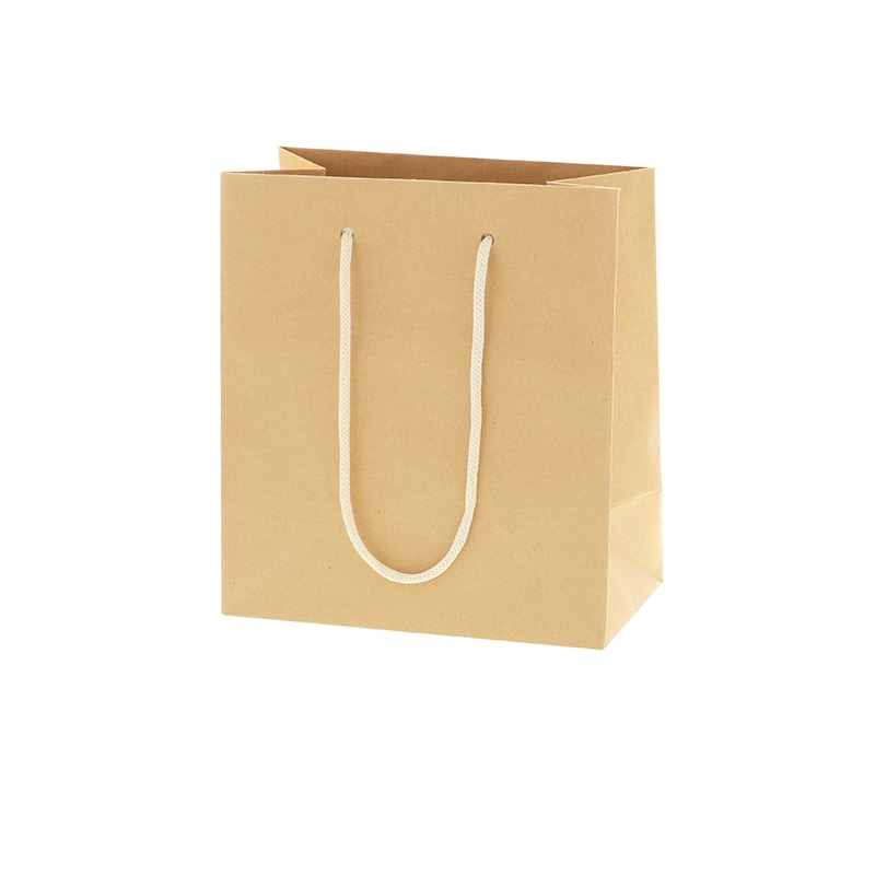 HEIKO 紙袋 バンブーペーパーバッグ 18-10 10枚/袋