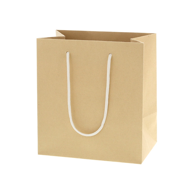 HEIKO 紙袋 バンブーペーパーバッグ 22-14 10枚/袋