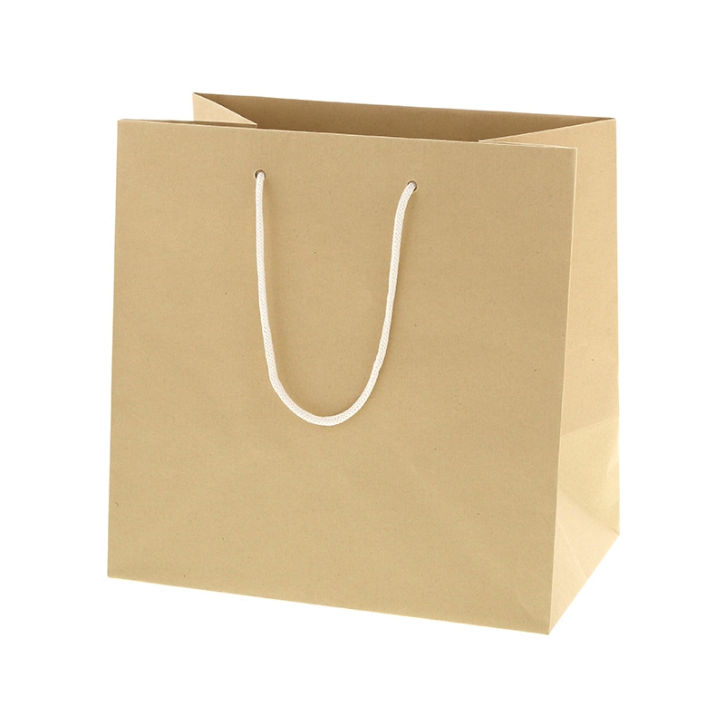 HEIKO 紙袋 バンブーペーパーバッグ 27-17 10枚/袋