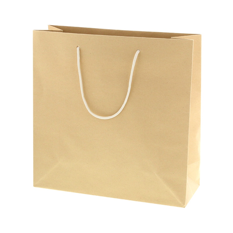 HEIKO 紙袋 バンブーペーパーバッグ 32-12 10枚/袋