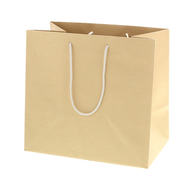 HEIKO 紙袋 バンブーペーパーバッグ 32-20 10枚/袋