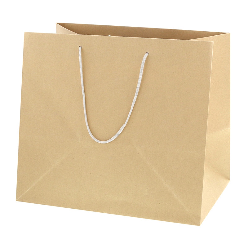 HEIKO 紙袋 バンブーペーパーバッグ 37-26 10枚/袋