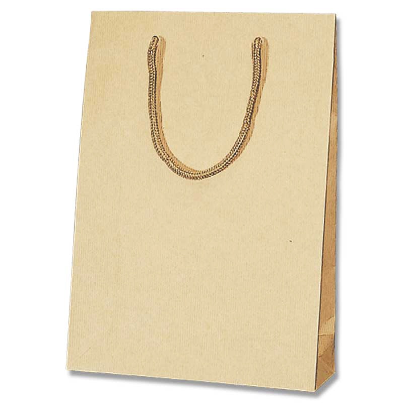 HEIKO 紙袋 Kバッグ SWT クラフトエンボス 10枚/袋