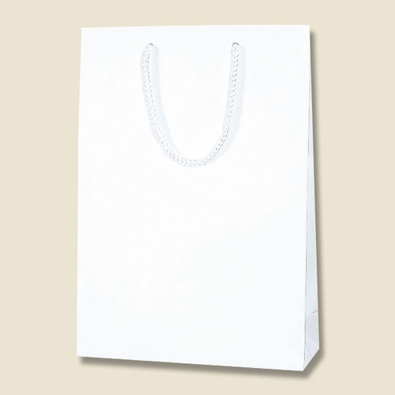 HEIKO 紙袋 Kバッグ SWT N白エンボス 10枚/袋