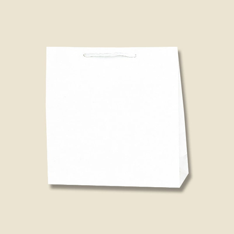 HEIKO 紙袋 広口チャームバッグ M-1 10枚/袋