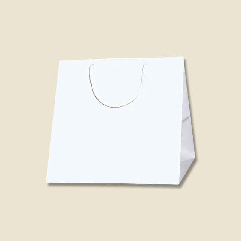 HEIKO 紙袋 ブライトバッグ C-0 シロ 10枚/袋