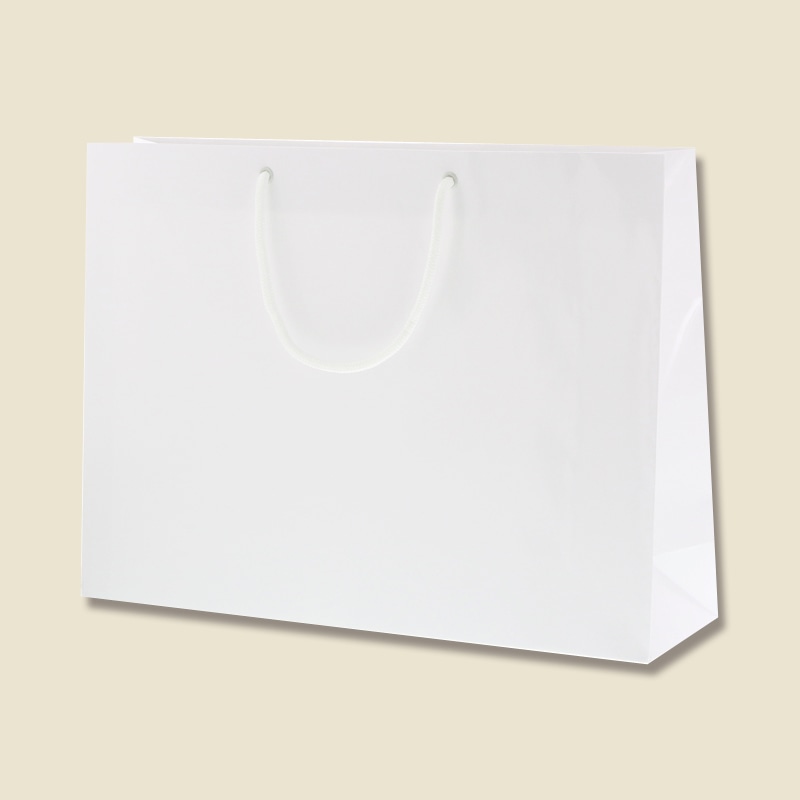 HEIKO 紙袋 ブライトバッグ Y2 白 10枚/袋