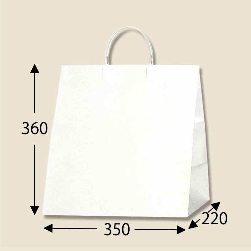 HEIKO 紙袋 ワイドバッグ S Nホワイト 10枚/袋