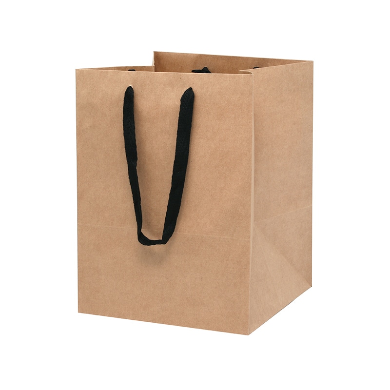 HEIKO 手提げ紙袋 フルールバッグ 30-30 未晒無地 10枚/袋