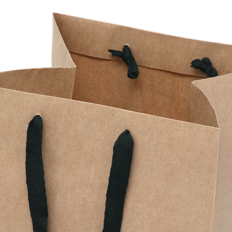 HEIKO 手提げ紙袋 フルールバッグ 30-30 未晒無地 10枚/袋 006441210