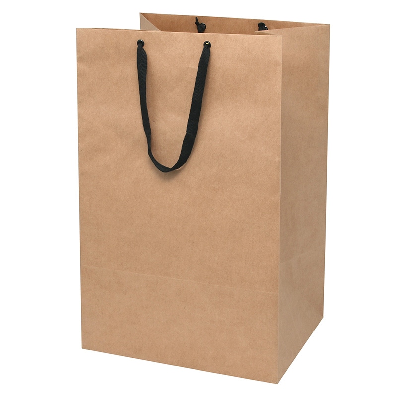 HEIKO 手提げ紙袋 フルールバッグ 42-35 未晒無地 10枚/袋