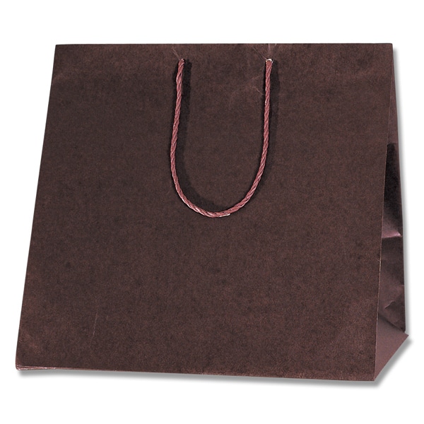 HEIKO 手提げ紙袋 カラーアレンジバッグ L 焦茶 10枚/袋