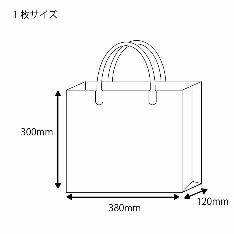 透明バッグ ハッピータック付L 10枚/袋