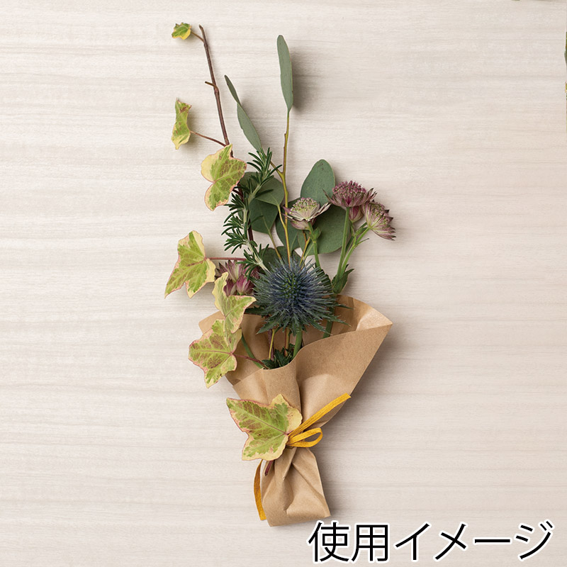 HEIKO スナック三角袋 12-13 未晒無地 100枚/袋