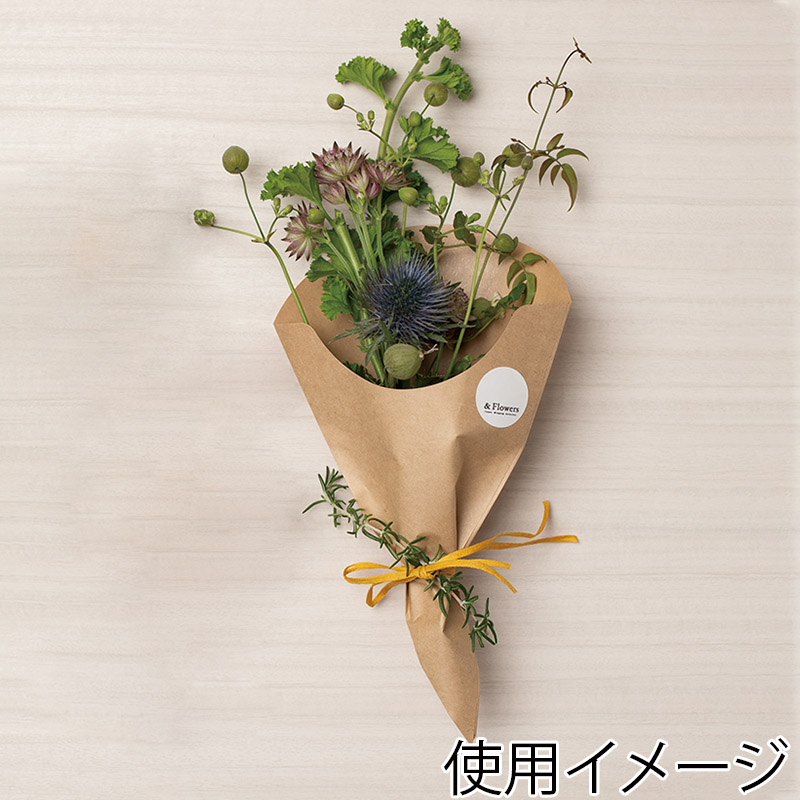 HEIKO スナック三角袋 17-28 未晒無地 100枚/袋