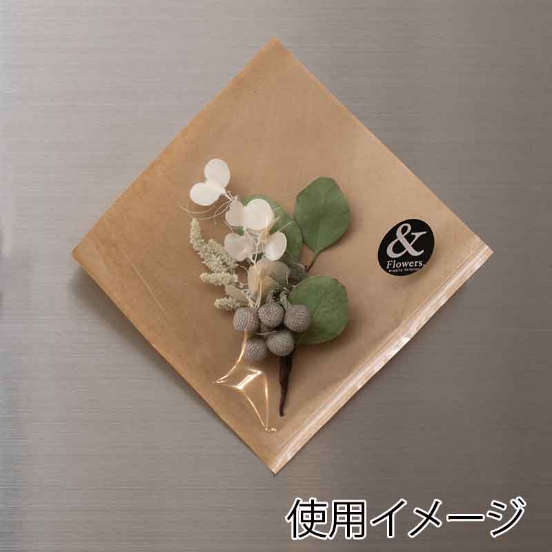 HEIKO 片面透明バーガー袋 15－15 未晒無地 100枚/袋 004738102 包装