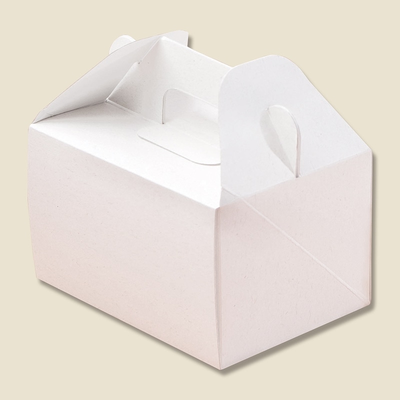 HEIKO 箱 エコパームボックス キャリーS 20枚/袋