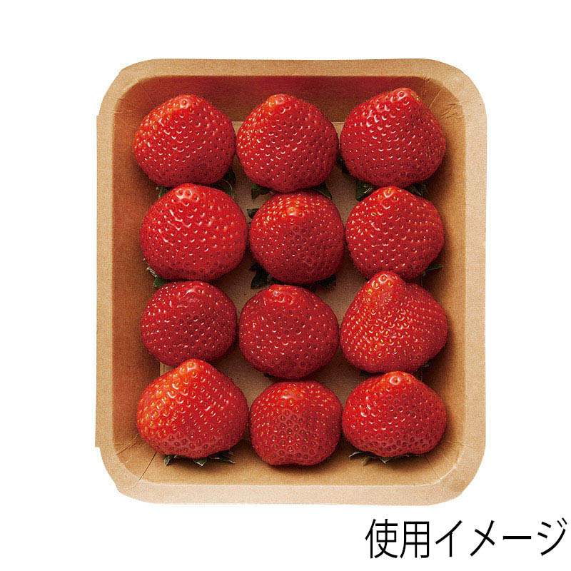 HEIKO 食品容器 クラフトフードトレー 15x17 50枚/袋