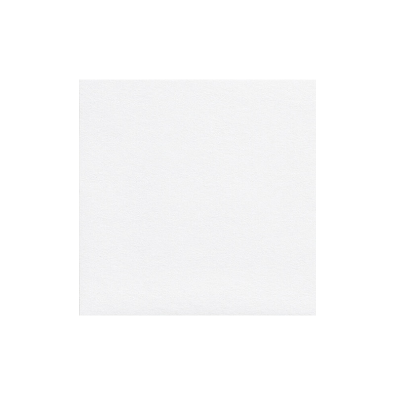 レーヨン紙シート　S-21 120角 260015　ラミエス 1000枚/束（ご注文単位1束）【直送品】