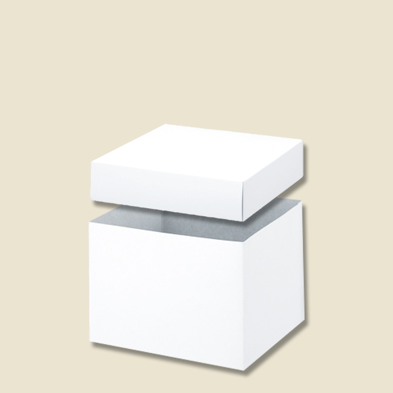 HEIKO 箱 バラエティボックス 0-22-120 10枚/袋