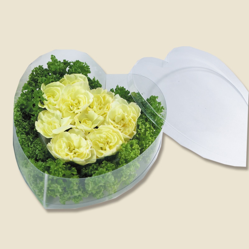 HEIKO 箱 クリスタルボックス スタンダードタイプ ハート型 ハート小浅