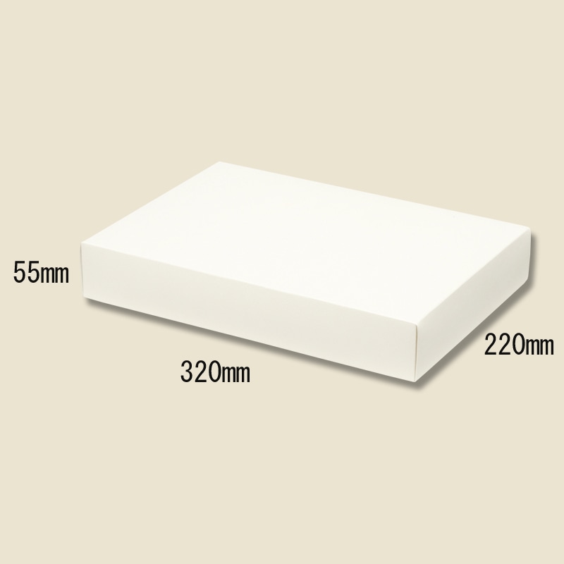 HEIKO 箱 ソフィアボックス SO-15 10枚/袋