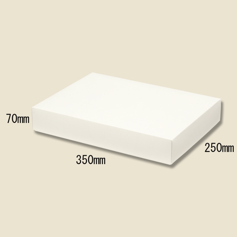 HEIKO 箱 ソフィアボックス SO-18 10枚/袋