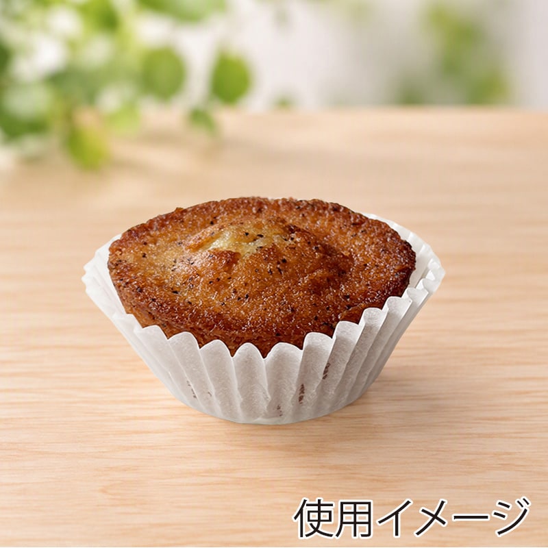 白無地CSEケース8号深サイズ