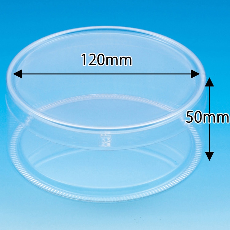 HEIKO PET円筒ケース 120×50 12個/箱 006854250 包装用品・店舗用品の
