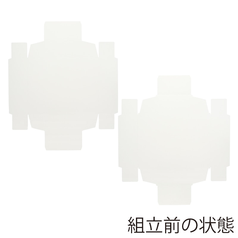 HEIKO 箱 ソフィアボックス SO-005 無地 10枚/袋