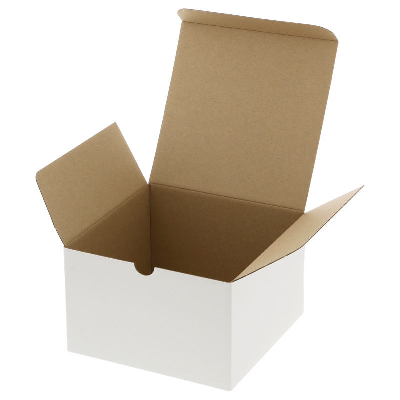 HEIKO 箱 フリーボックス F-2 10枚/袋