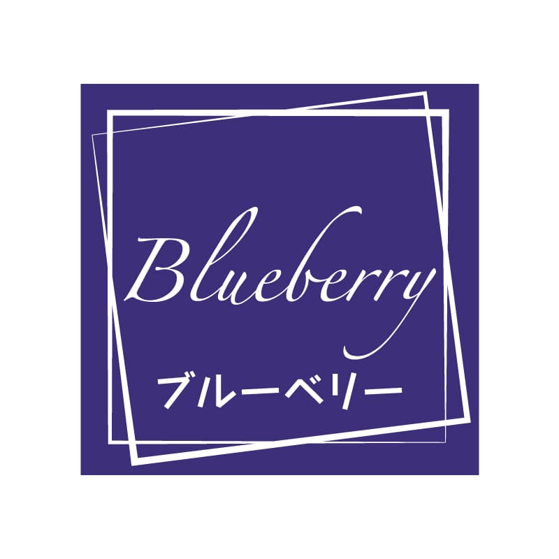 HEIKO フレーバーシール ブルーベリー 98片/束