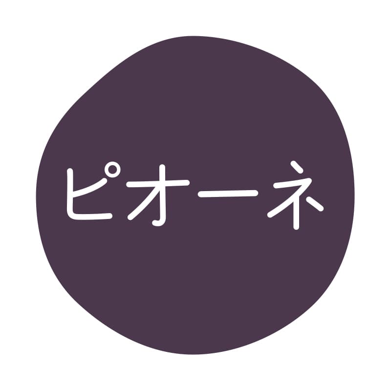 HEIKO グルメシール ピオーネ 70片/束