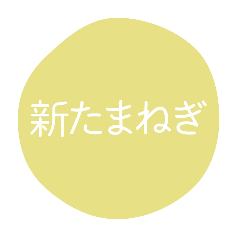 HEIKO グルメシール 新たまねぎ 70片/束