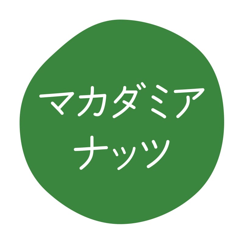 HEIKO グルメシール マカダミアナッツ 70片/束
