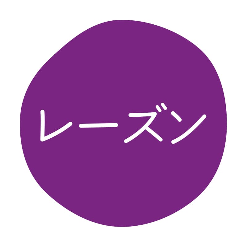 HEIKO グルメシール レーズン 70片/束