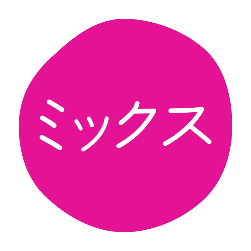 HEIKO グルメシール ミックス 70片/束