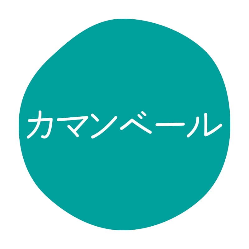 HEIKO グルメシール カマンベール 70片/束