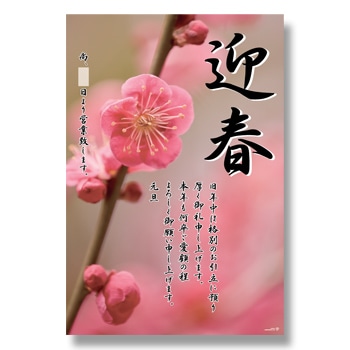 HEIKO 賀正ポスター LL H100-84 紅梅 10枚/束