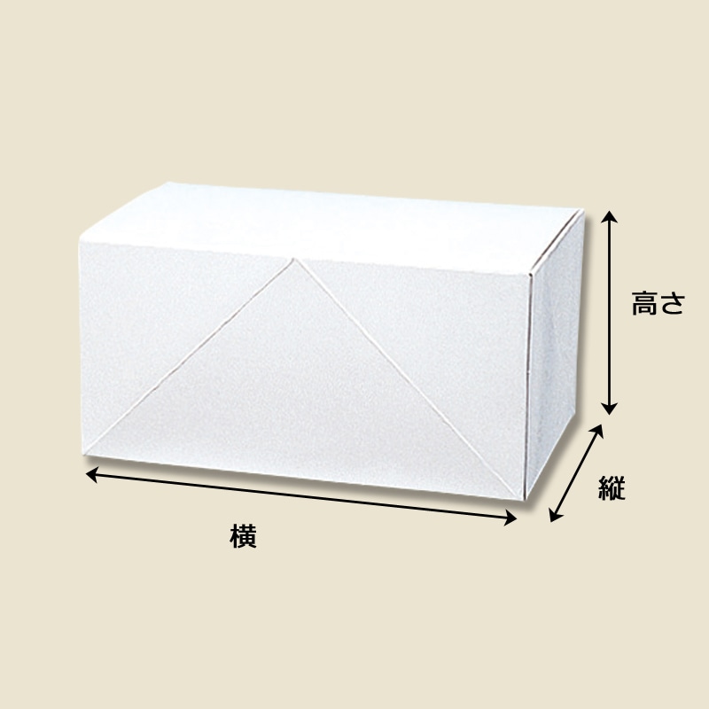 HEIKO 箱 白地カートン 2 10枚/袋 004246802 包装用品・店舗用品の通販