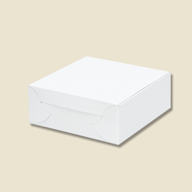 HEIKO 箱 白地カートン 4 10枚/袋