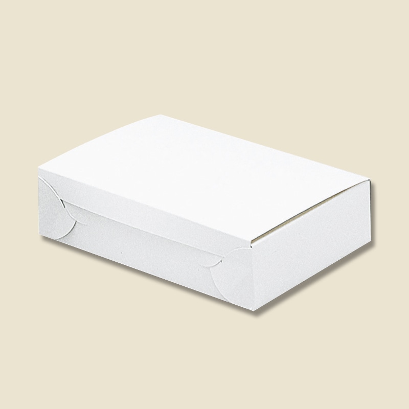 HEIKO 箱 白地カートン 6 10枚/袋