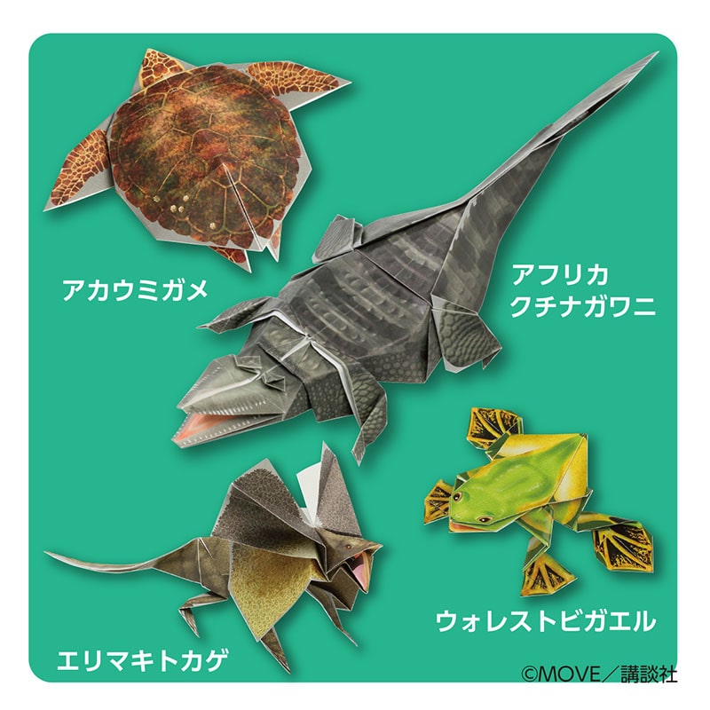 トーヨー 動く図鑑　MOVE　は虫類・両生類おりがみ 15.0cm 036503 1袋（ご注文単位5袋）【直送品】