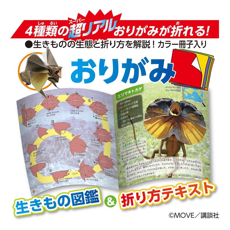 トーヨー 動く図鑑　MOVE　は虫類・両生類おりがみ 15.0cm 036503 1袋（ご注文単位5袋）【直送品】