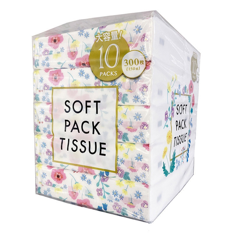 ECOソフトパックティッシュ 300枚 150組 10個/パック（ご注文単位12パック）【直送品】