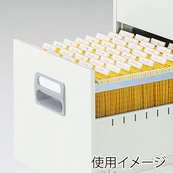 ライオン事務器 ファイリングキャビネット A4サイズ 2段 ホワイト A4-2W 1台(ご注文単位1台)【直送品】