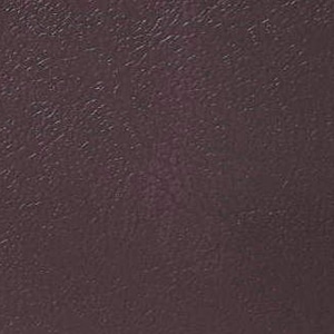 ライオン事務器 折りたたみイス　塗装脚 ダークブラウン No.221P 1台（ご注文単位1台）【直送品】