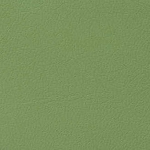 ライオン事務器 折りたたみイス 塗装脚 グリーン No.221P 1台(ご注文単位1台)【直送品】